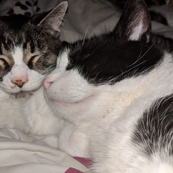 Meet your Posher, Kim - Picture 1 of 1